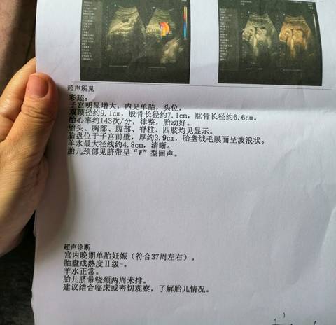 journal_insert_pic_1205291785