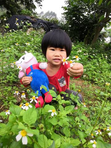 journal_insert_pic_1204891490