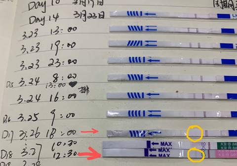 journal_insert_pic_1205485272