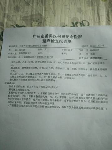 journal_insert_pic_1206035621