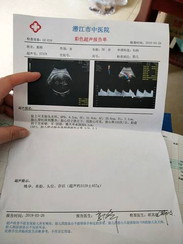 journal_insert_pic_1207338993