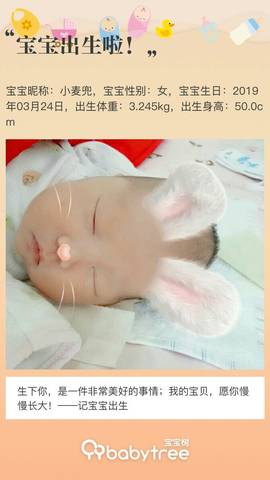 journal_insert_pic_1208014640