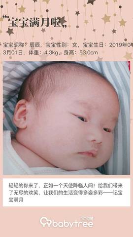 journal_insert_pic_1207669849