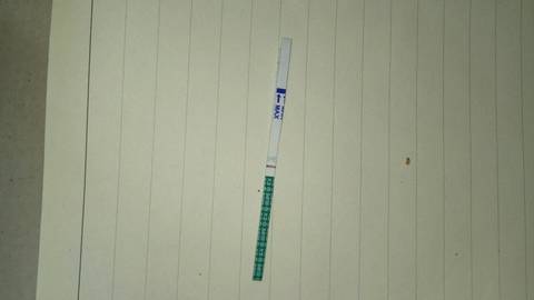 journal_insert_pic_1207682053