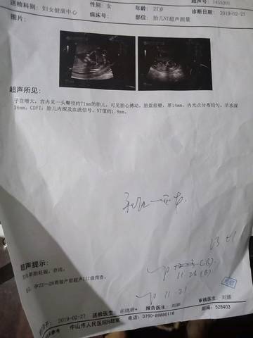 journal_insert_pic_1208444153