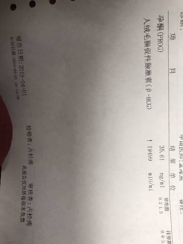 journal_insert_pic_1208440963
