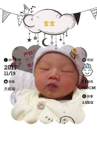 journal_insert_pic_1209279495
