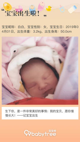 journal_insert_pic_1209101112