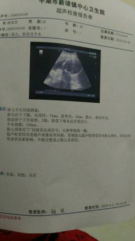 journal_insert_pic_1209582560