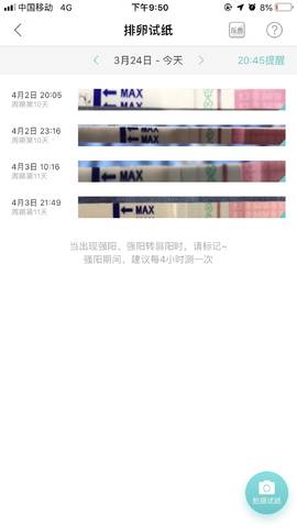 journal_insert_pic_1209746626