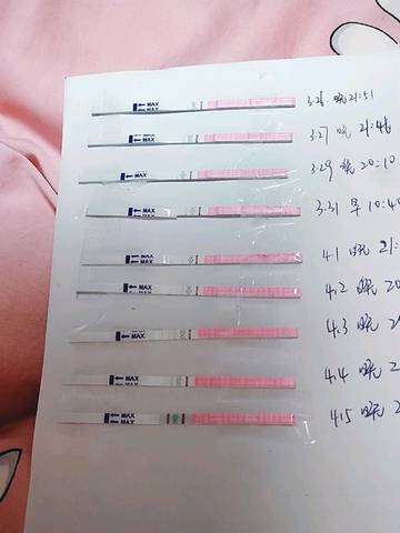 journal_insert_pic_1210816086
