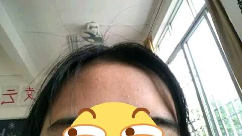 journal_insert_pic_1210913184