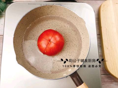 journal_insert_pic_1210714971