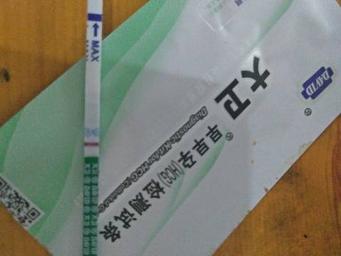 journal_insert_pic_1210439521