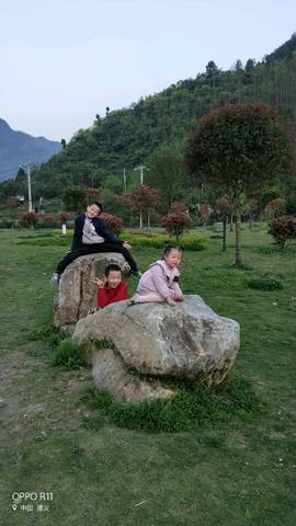journal_insert_pic_1211046672