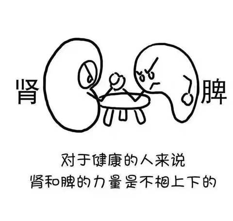 journal_insert_pic_1211305987