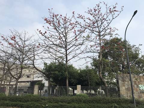journal_insert_pic_1211615845