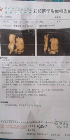 journal_insert_pic_1212047429