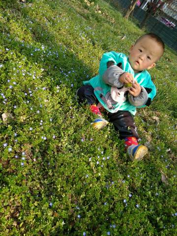 journal_insert_pic_1212536349