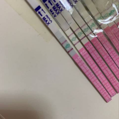 journal_insert_pic_1213012212