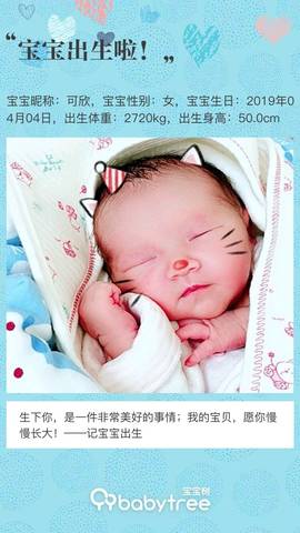 journal_insert_pic_1213902434