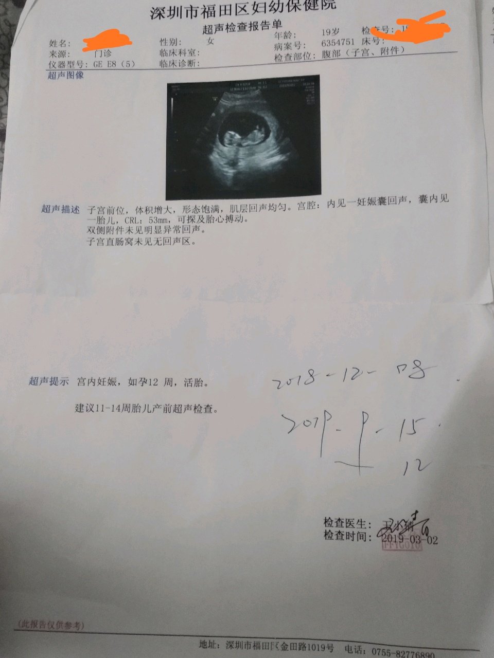 因为我们年龄太小，无能力养