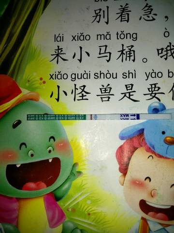 journal_insert_pic_1214481220