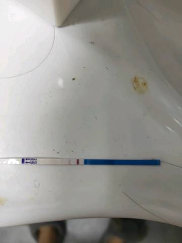 journal_insert_pic_1214445777