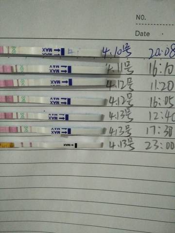 journal_insert_pic_1216112606