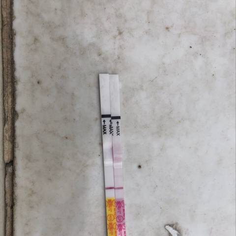 journal_insert_pic_1215581119
