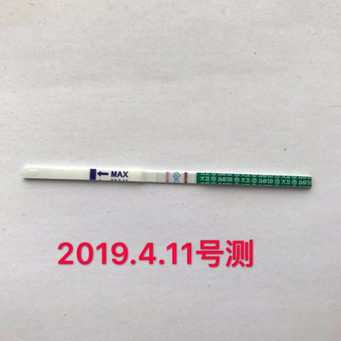 journal_insert_pic_1215624927