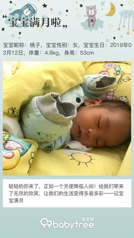 journal_insert_pic_1215632082