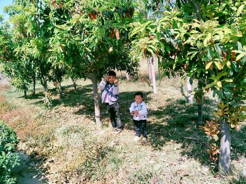 journal_insert_pic_1216725344