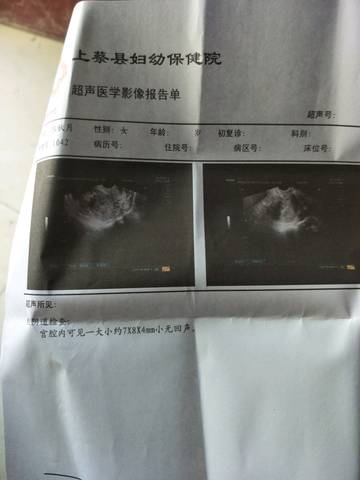 journal_insert_pic_1216516832