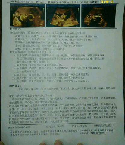 journal_insert_pic_1216721756