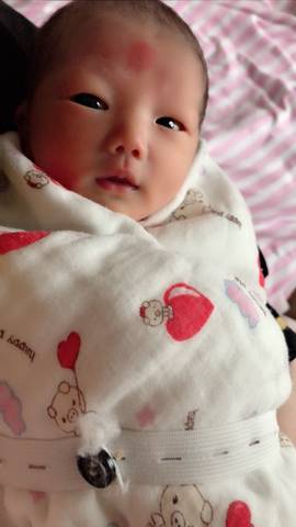 journal_insert_pic_1216310173