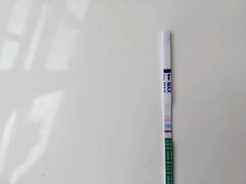 journal_insert_pic_1216231956