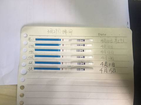 journal_insert_pic_1217006971