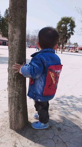 journal_insert_pic_1216890985