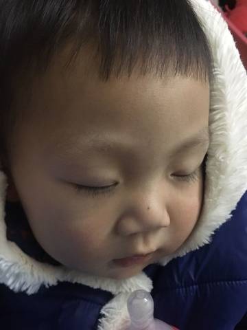 journal_insert_pic_1217097169