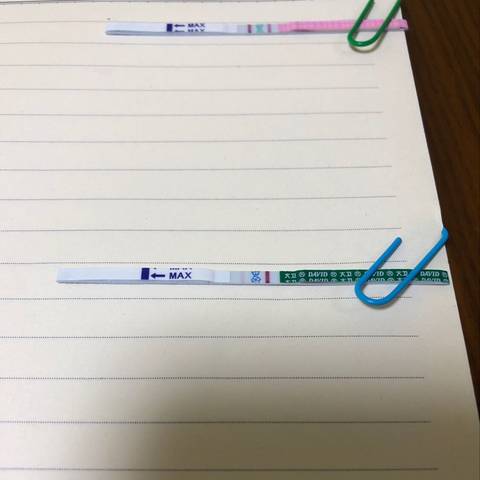 journal_insert_pic_1217959186