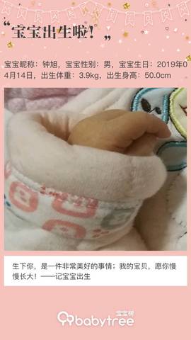 journal_insert_pic_1219001860