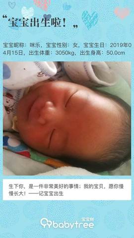 journal_insert_pic_1220470531