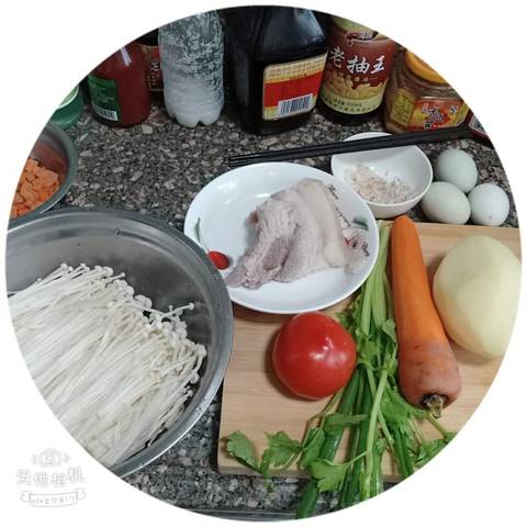 journal_insert_pic_1220621723