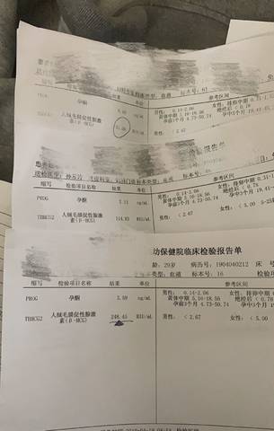 journal_insert_pic_1222367536