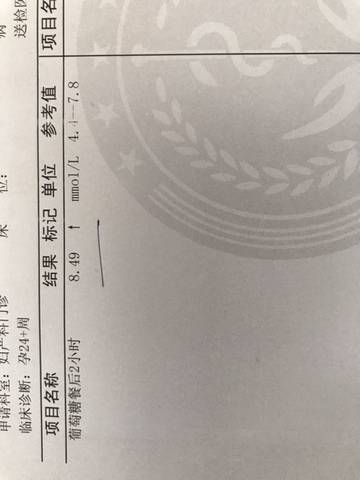 journal_insert_pic_1222672780