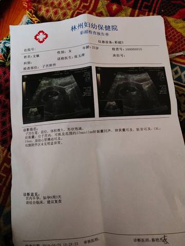 journal_insert_pic_1223312216