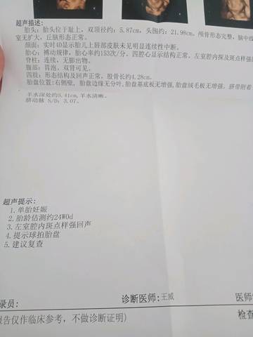 journal_insert_pic_1224042611