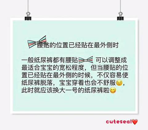 journal_insert_pic_1223692974