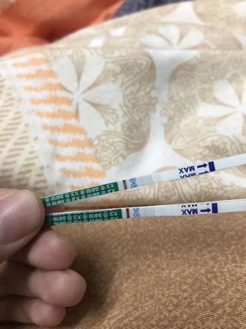 journal_insert_pic_1224936352